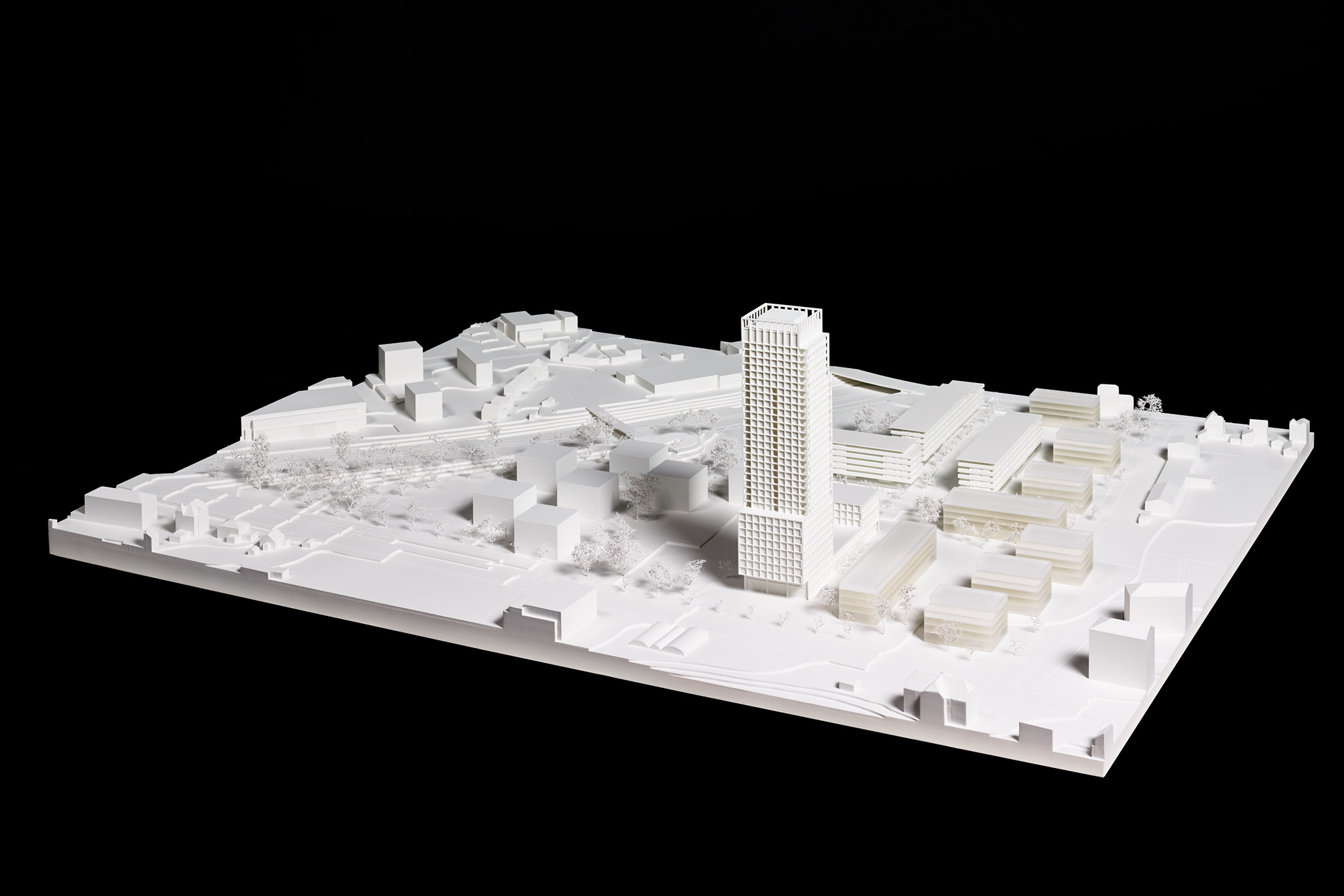 E15567 Alpa 053449 SCREEN